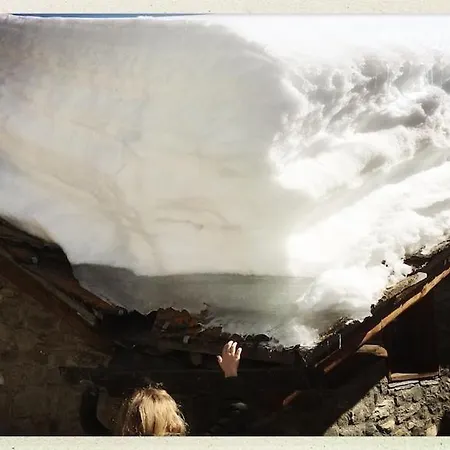 Im Skigebiet Auf Autofreier Alm Zwischen Den Hochsten Bergen Der Alpen. * Chamois