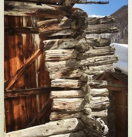 Im Skigebiet Auf Autofreier Alm Zwischen Den Hochsten Bergen Der Alpen. Chamois