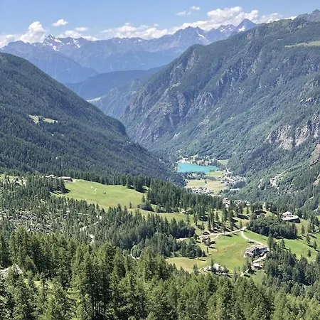 Im Skigebiet Auf Autofreier Alm Zwischen Den Hochsten Bergen Der Alpen. Chamois