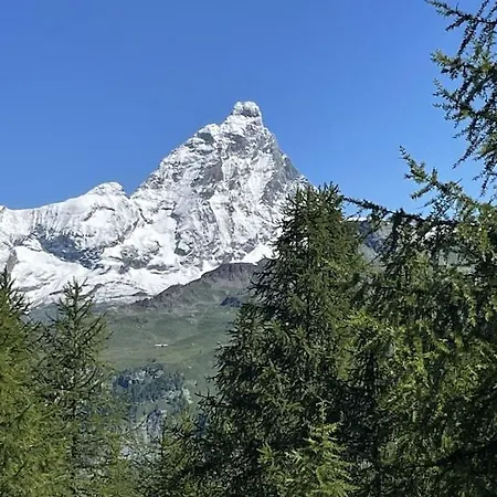 Daire Im Skigebiet Auf Autofreier Alm Zwischen Den Hochsten Bergen Der Alpen.